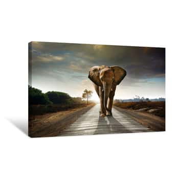 Image of Walking Elephant Canvas Print