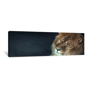 Image of Close-up Of An African Lion Canvas Print