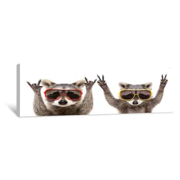 Image of Portrait Of A Funny Raccoons In Sunglasses Showing A Gesture, Isolated On A White Background Canvas Print