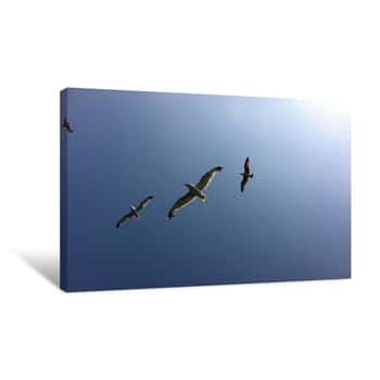 Image of Birds Overhead Canvas Print