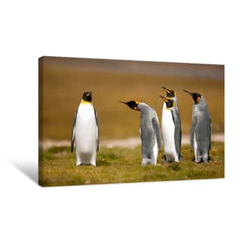 Image of Penguin Standoff Canvas Print