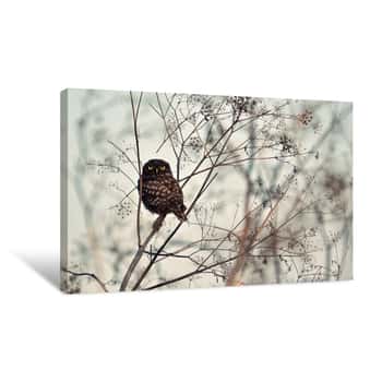 Image of Bird Perched On A Tree Canvas Print