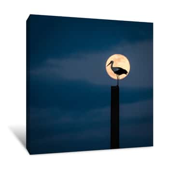 Image of Moon Stork Canvas Print