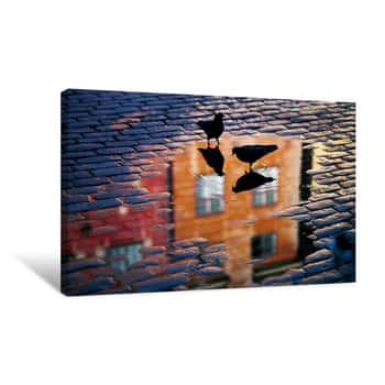 Image of Birds In Puddle On A Stone Street Canvas Print