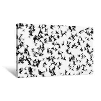 Image of Flock Of birds On White Background Canvas Print