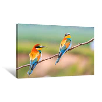 Image of Beautiful Colorful Birds Sitting On A Branch Canvas Print