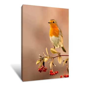 Image of Pretty Bird With A Nice Red Plumage Canvas Print