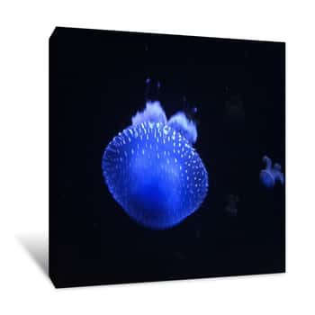 Image of Jellyfish Canvas Print