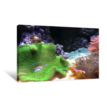 Image of Sea Floor Canvas Print