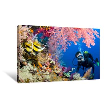 Image of Scuba Diving Canvas Print