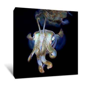 Image of The Glow Fish Canvas Print