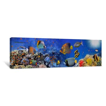Image of Sea Corals  Panorama Canvas Print