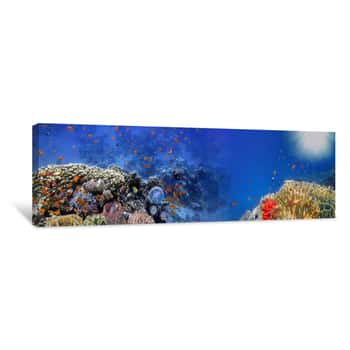 Image of Underwater Panorama And Coral Reef And Fishes Canvas Print
