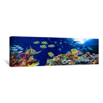 Image of Colorful Wide Underwater Coral Reef Panorama Canvas Print