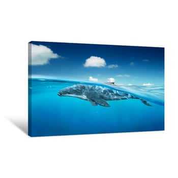 Image of Whale In Ocean With Half Angle View Canvas Print