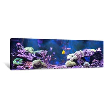 Image of Purple Reef Tank Aquarium Canvas Print