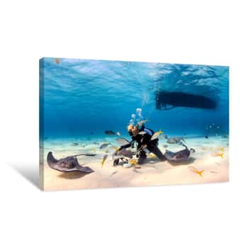 Image of SCUBA Diver And Stingrays Canvas Print