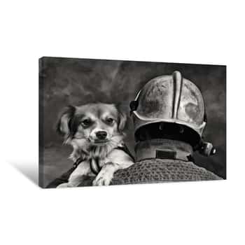 Image of Dog Being Saved By Fireman Canvas Print
