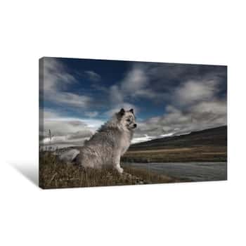 Image of Watch dog Canvas Print