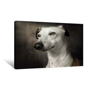 Image of Dog Portrait Canvas Print