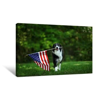 Image of Happy Border Collie Carrying USA Flag Canvas Print