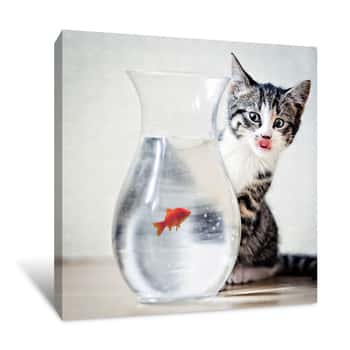 Image of Mischief Cat Looking At Dinner Canvas Print