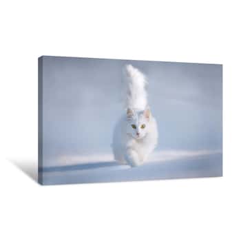 Image of Cat Prowl Canvas Print