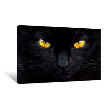 Image of Cat With Amber Eyes Canvas Print