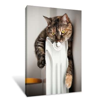 Image of Cat Holding Radiator Canvas Print