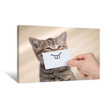 Image of Funny Cat With Smile On Cardboard Canvas Print