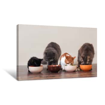 Image of Domestic Cats Eat Pet Food On The Floor From Bowls Canvas Print