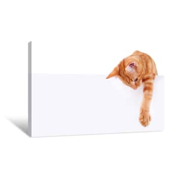Image of Cat Banner Sign Canvas Print