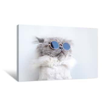Image of Funny Cat Portrait In Sunglasses Canvas Print