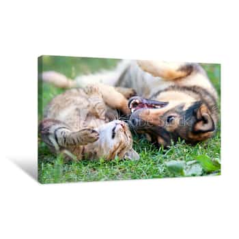 Image of Dog And Cat Playing Together Outdoor Lying On The Back Together Canvas Print