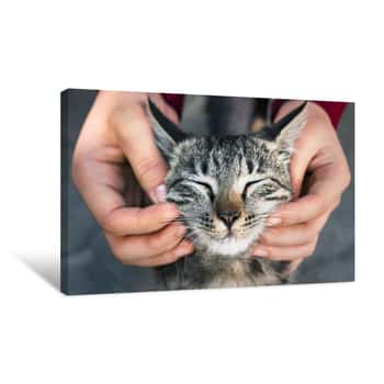 Image of Woman Playing With A Stray Cat Canvas Print