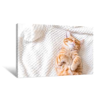 Image of Ginger Cat Sleeping Canvas Print