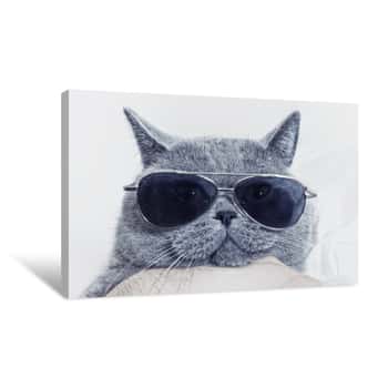 Image of Funny Muzzle Of Gray Cat In Sunglasses Canvas Print