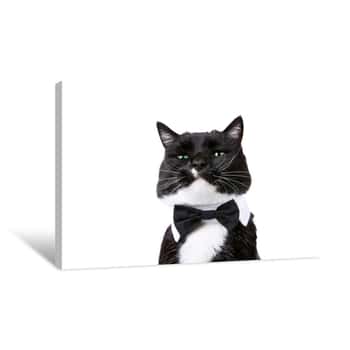 Image of Black And White Tuxedo Cat In A Bowtie Isolated On White Canvas Print
