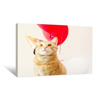 Image of Red Cat In A Festive Cap Against The Background Of Balloons  Birthday Of A Cat Canvas Print