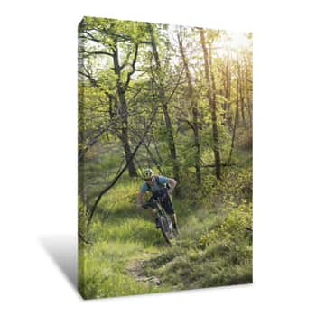 Image of Mature Man Riding Mountain Bike Through Forest Canvas Print