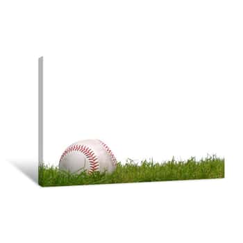 Image of Baseball In The Grass Canvas Print