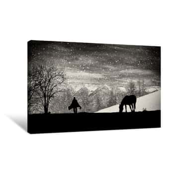 Image of Black And White Horse Silhouette In Winter Canvas Print