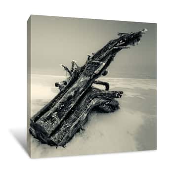 Image of Driftwood Canvas Print