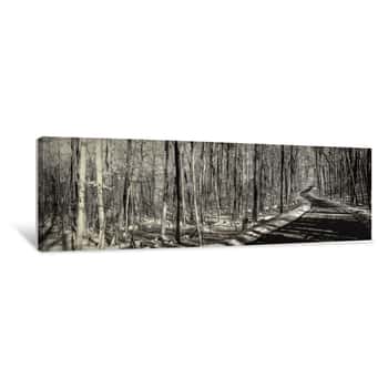 Image of A Winter Path Panorama Canvas Print