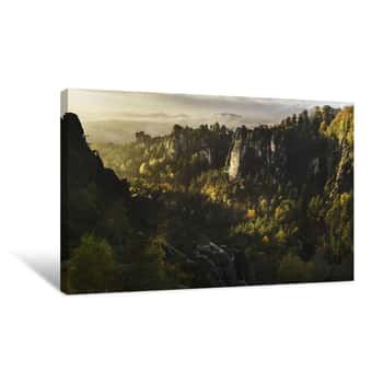 Image of Forest in Switzerland Canvas Print