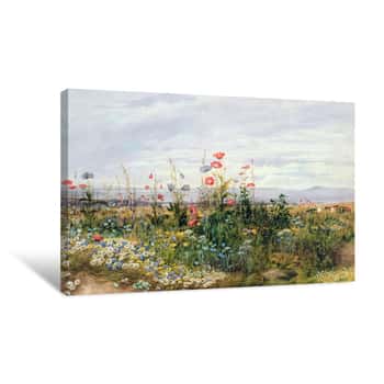 Image of Wildflowers with a View Canvas Print