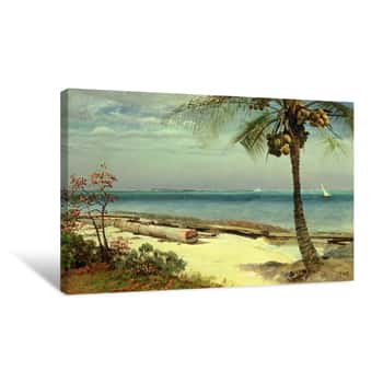 Image of Tropical Coast Canvas Print