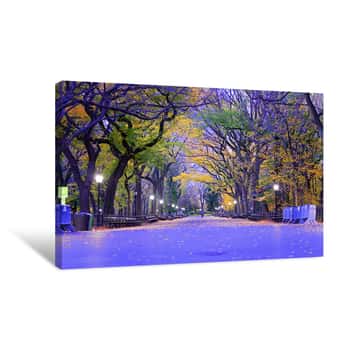 Image of Central Park The Mall NYC Canvas Print