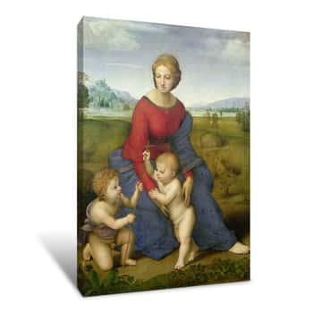Image of In The Meadow Canvas Print