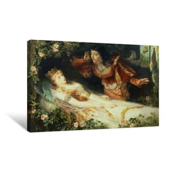 Image of Sleeping Beauty Canvas Print